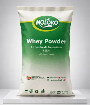 MOLOCO Whey Protein 24 Plus | Premium High Protein Powder Pakistan