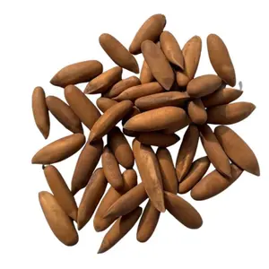 Premium Black Chilgoza (Pine Nuts) – Fresh Roasted & Hygienically Packed
