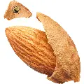 Fresh & Crunchy Loralai Peach Kagzi Almonds – Nature’s Delight | Natural Loralai Kagzi Almonds (Badaam)