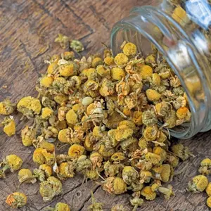 Chamomile Tea (Babuna Chai) – Natural Herbal Tea