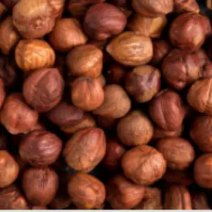 Roasted Red Hazelnuts (Findak / Pahari Badam) – Premium Quality
