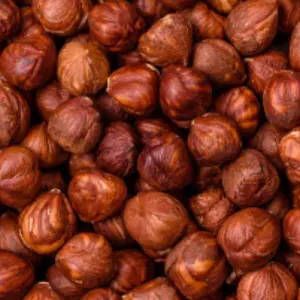 Roasted Red Hazelnuts (Findak / Pahari Badam) – Premium Quality