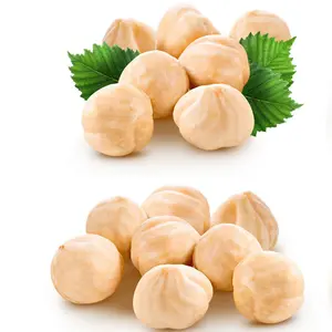 Hazelnuts White Seed Plain – Premium Quality Raw Hazelnuts | Fresh & Natural Dry Fruit in Pakistan
