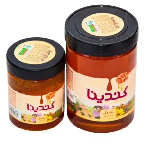 Kendina Honey – Pure Natural Honey 450g & 900g | Buy Online in Pakistan