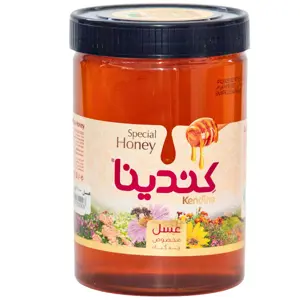 Kendina Honey – Pure Natural Honey 450g & 900g | Buy Online in Pakistan