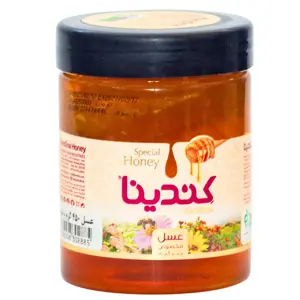 Kendina Honey – Pure Natural Honey 450g & 900g | Buy Online in Pakistan