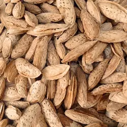 Fresh & Crunchy Loralai Peach Kagzi Almonds – Nature’s Delight | Natural Loralai Kagzi Almonds (Badaam)