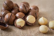 Buy Macadamia Nuts (Chabi Wala Akhrot) Online in Pakistan | Premium Fresh Macadamia Nuts | Quetta Dry Fruits & Nuts