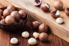 Buy Macadamia Nuts (Chabi Wala Akhrot) Online in Pakistan | Premium Fresh Macadamia Nuts | Quetta Dry Fruits & Nuts