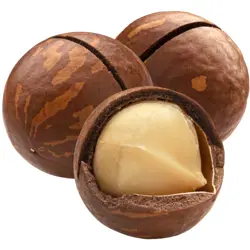 Buy Macadamia Nuts (Chabi Wala Akhrot) Online in Pakistan | Premium Fresh Macadamia Nuts | Quetta Dry Fruits & Nuts