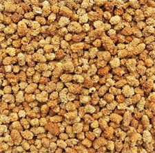 Buy Premium Dried Mulberry (Shahtoot) Online in Pakistan | Organic Kabuli Shahtoot