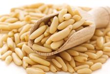 Shelled Chilgoza (Pine Nuts) Kernels Online in Pakistan | Premium Fresh Pine Nuts | Quetta Dry Fruits & Nuts