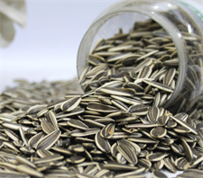 Buy Premium Sunflower Seeds (Suraj Mukhi Beej) Online in Pakistan | Quetta Dry Fruits & Nuts