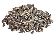 Buy Premium Sunflower Seeds (Suraj Mukhi Beej) Online in Pakistan | Quetta Dry Fruits & Nuts