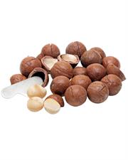 Buy Macadamia Nuts (Chabi Wala Akhrot) Online in Pakistan | Premium Fresh Macadamia Nuts | Quetta Dry Fruits & Nuts