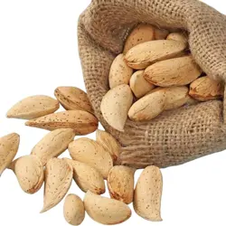 Buy White Talwar Almonds (Talwar Badam) Online in Pakistan | Premium Afghan Quality