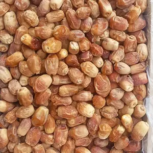 Premium Zahidi Dates | Fresh, Naturally Sweet & High Quality Naturally Sweet, Fresh & Handpicked 1kg, and 5kg carton 