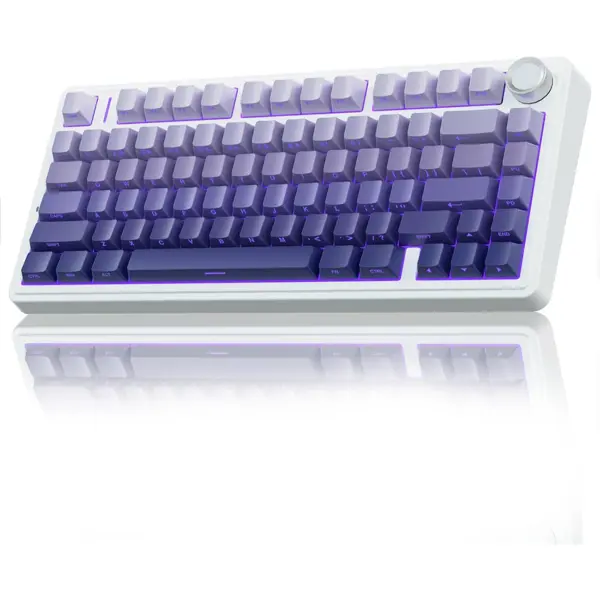 Aula F75 Pro Mechanical Keyboard Gaming, 2.4 GHz/Type-C/BT5.0 Wireless Gaming Keyboard 75 Percent, Side Engraved, Gasket Structure, Hot-Swap Wireless Keyboard RGB (Gradient Purple)