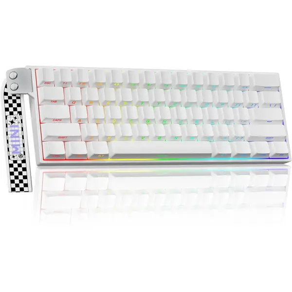 Aula MINI60 HE PRO Wireless Gaming Keyboard 60%, Hall Effect Rapid Trigger Magnetic Keyboard, 8000Hz Polling, Tri-Mode (BT5.0/2.4GHz/USB-C), RGB Hot Swappable Compact Mechanical Keyboard for Gamer (White Side-Printed)