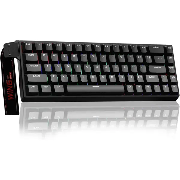 Aula WIN68 HE Mechanical Gaming Keyboard 60%, Hall Effect Magnetic Switch, Fast Trigger Mode Adjustable Actuation, 8000Hz Polling Rate, RGB Backlit, Wired Black Keyboard for Laptop/PC Gamer (Black)