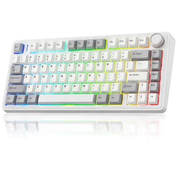 Aula F75 Wireless Gaming Mechanical Keyboard, 2.4 GHz/Type-C/BT5.0 Wireless Gaming Keyboard 75 Percent, Gasket Structure, Hot-Swap Wireless Keyboard RGB (Retro White)