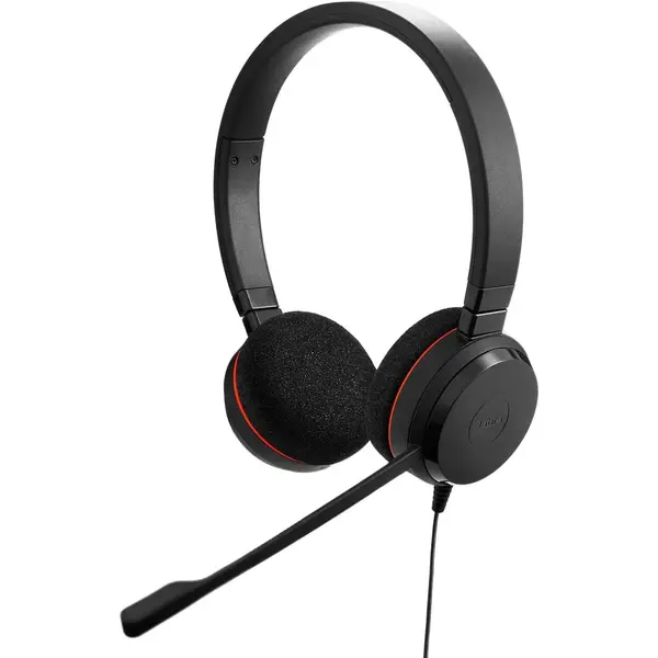 Jabra Evolve 20 Wired Headset - Dual-Ear Set for Office and Work from Home, Call Control, All Platforms, USB-C/A Connectivity - Black
