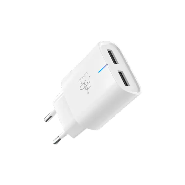 Taar Rapid Duo 2.0 12W Wall Charger (Adapter Only)