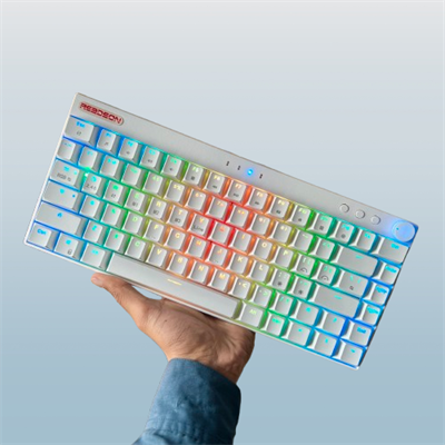 Readson WL82/84 Plus Wireless RGB Mechanical Gaming Keyboard, 3 Modes (2.4GHz/BT/USB-C Wired), Hot-Swappable Brown Switches - White
