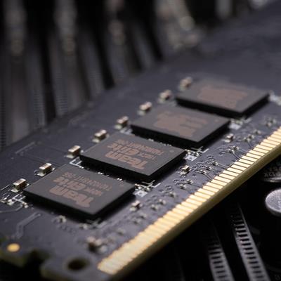 TeamGroup Elite DDR5 16GB (1x16GB) 5600MHz C46 UDIMM Desktop Memory