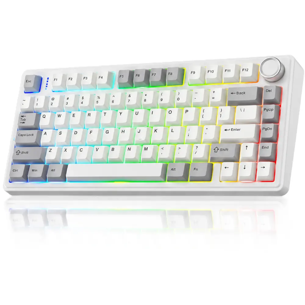 Aula F75 Wireless Gaming Mechanical Keyboard, 2.4 GHz/Type-C/BT5.0 Wireless Gaming Keyboard 75 Percent, Gasket Structure, Hot-Swap Wireless Keyboard RGB (Retro White)
