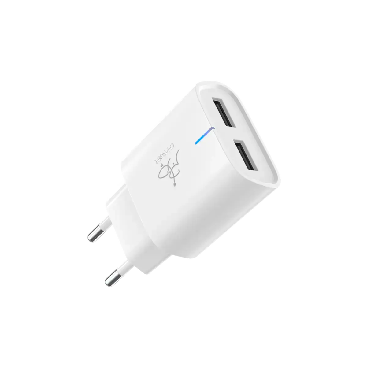 Taar Rapid Duo 2.0 12W Wall Charger with Micro USB Cable