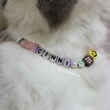 Custom Text Cat Beaded Collar Necklace 