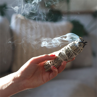 White Sage - Smudge (Dhuni)