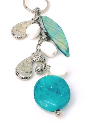 Aqua Shells