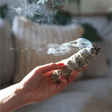 White Sage - Smudge (Dhuni)