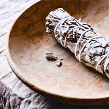 White Sage - Smudge (Dhuni)