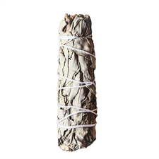White Sage - Smudge (Dhuni)