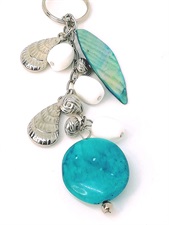 Aqua Shells