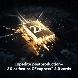 Lexar 1TB Professional GOLD CFexpress 4.0 Type B Memory Card