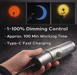 Apkina 25W LED Torch Light Bi-Color Portable Video Light