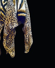 Animal Instinct
