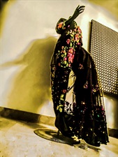 Saree Abloom 