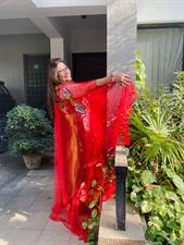 A Symphony In Scarlet 