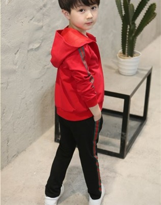 Fancy Red Strip embroidery Logo Hoodie with trouser