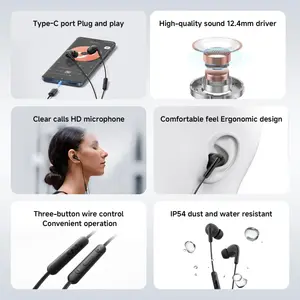Xiaomi Type-C In-Ear Wired Earphones - Black