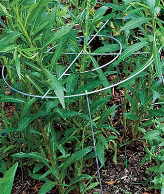 Grow Through Grated Large Plant Supports