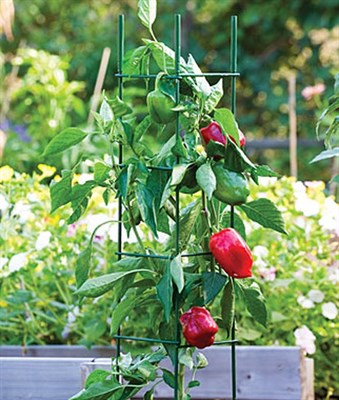 Pro Series Folding Plant Supports