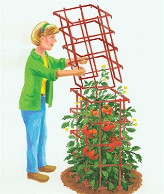 XL Pro Series Cage - Red