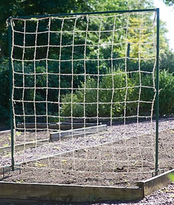 Cucumber and Pea Trellis Kit