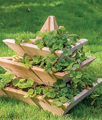 Plant Pyramid Raised Planters